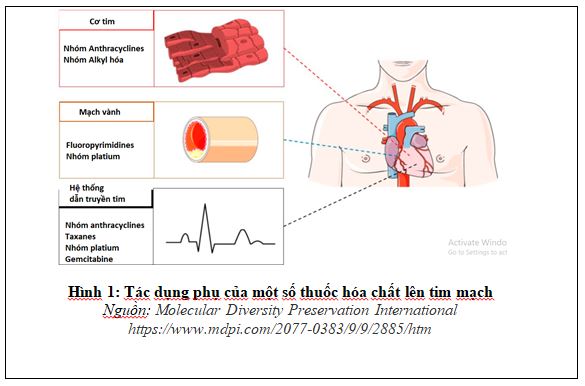 Tác Dụng Phụ Của Thuốc Tim Mạch